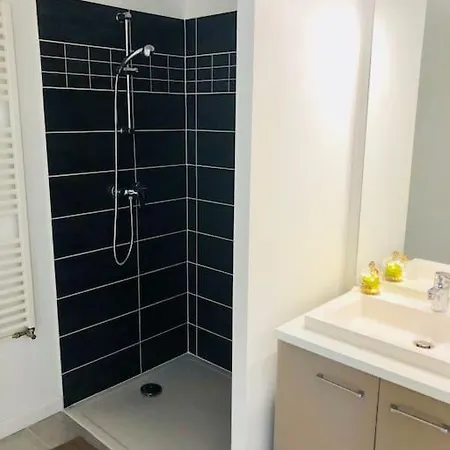 La Roseraie Toulousaine, Parking A Reserver, Proche Metro Apartmán
