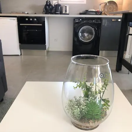 Appartement La Roseraie Toulousaine Avec Parking Privé