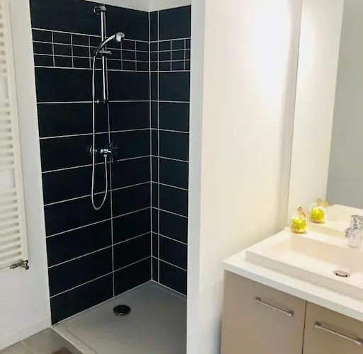 La Roseraie Toulousaine, Parking A Reserver, Proche Metro Apartment