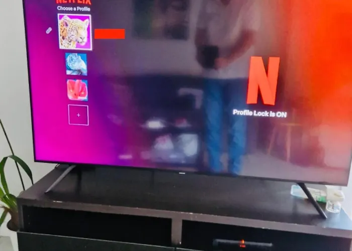 La Roseraie Toulousaine, Parking A Reserver, Proche Metro Apartment