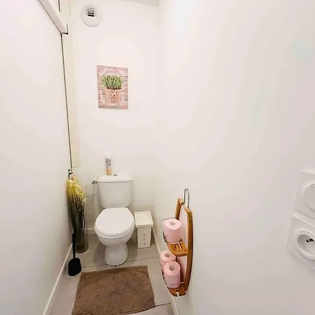 La Roseraie Toulousaine Avec Parking Prive Appartement Toulouse