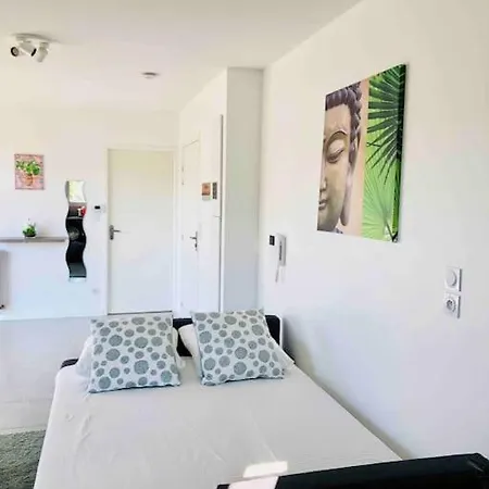 La Roseraie Toulousaine Avec Parking Prive * Toulouse