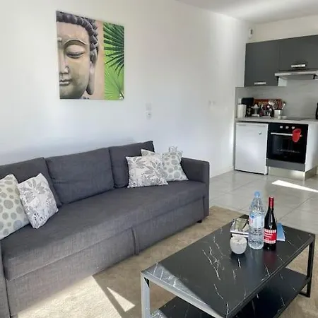 Appartement La Roseraie Toulousaine Avec Parking Prive Toulouse