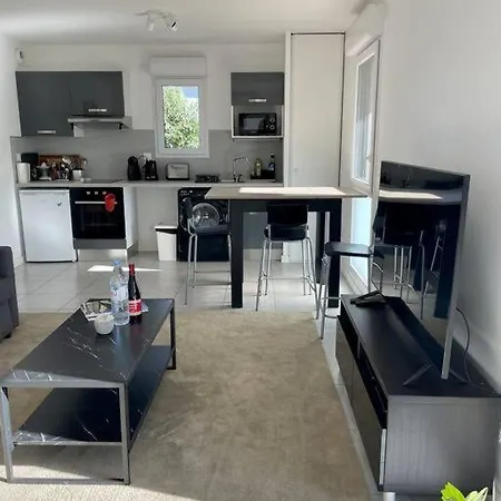 La Roseraie Toulousaine Avec Parking Prive Toulouse